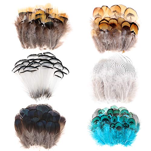 Mwoot 6 Styles Assorted Crafts Feathers, 120Pcs Diy Dreamcatcher Crafts Art Decor Feathers, Diy Earring Wings Carnival Party Mask Activities Project Accessories Small Feather - Mixed Green White Brown #TOP7