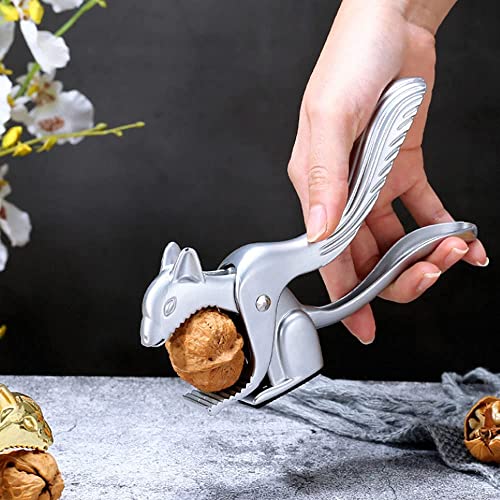 Hachera Clip in Noce di Acciaio Inossidabile