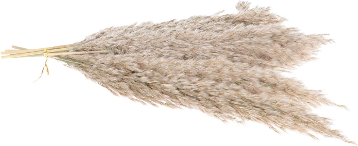 BESTOYARD 3sets Romantic Dried Flower Bouquet Natural Preserved Flowers for Home Decor Wedding Arrangements and Photography Props Lifespan Without Water Soil