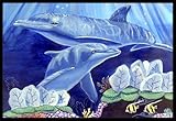 Dolphin Under The sea Indoor Or Outdoor Mat - 18 x 27 in.