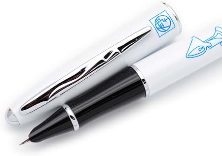 Amazon.com: Picasso 606 Ultrafine Accounting Fountain Pen EF Nib