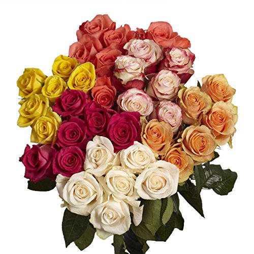 Fresh Valentines Day Flowers- 50 Assorted Roses- Beautiful Gift #TOP4