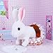 Liberty Imports Plush Bunny Rabbit Pet Electronic Toy - Walking, Hopping, Wiggle Ears, Twitch Nose, Sounds for Kids