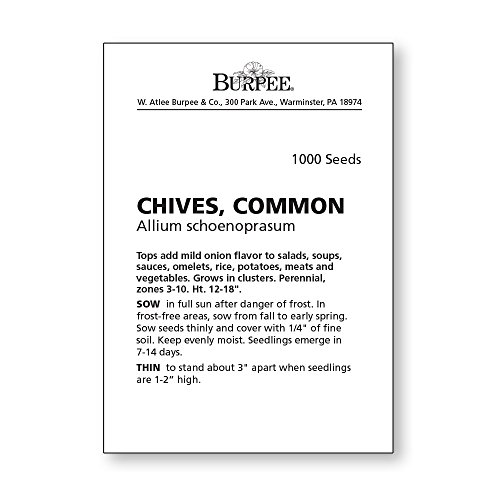 Burpee Common Chives Seeds 1000 Seeds #TOP5