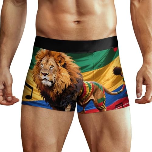 Men's Swim Briefs Bulge Swim Trunks