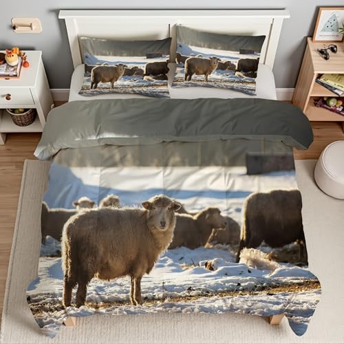 ጴHѕzc 3Dmr|zc h \tg ~ Lg I[V[Yq\tgӂӂ}CNt@Co[EHbu |zcg ӂӂ gHѕzcy ʋC Hzc210x210cm + 2Jo[E43X63cmTI4115