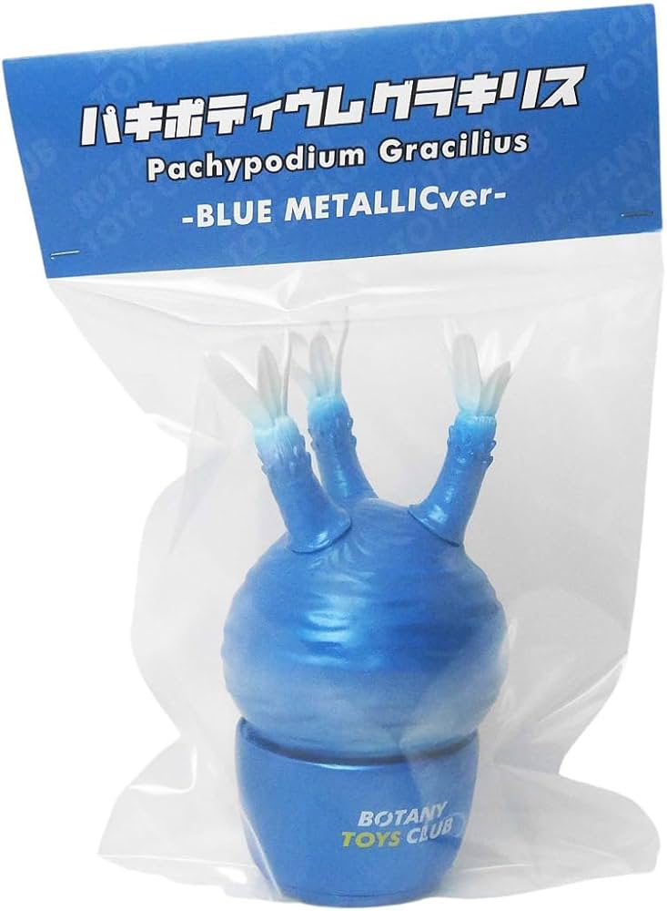 Amazon.co.jp: ボタニートイズクラブ Pachypodium Gracilius BLUE