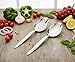 BNAZIND Kunz Perforated and Regular Set | Pack of 2 | 9 Inch 18/10 Stainless Steel Cooking Serving Spoon | Daily Chef, Basting, Quenelle, Saucing, Plating Spoon | Dishwasher safe