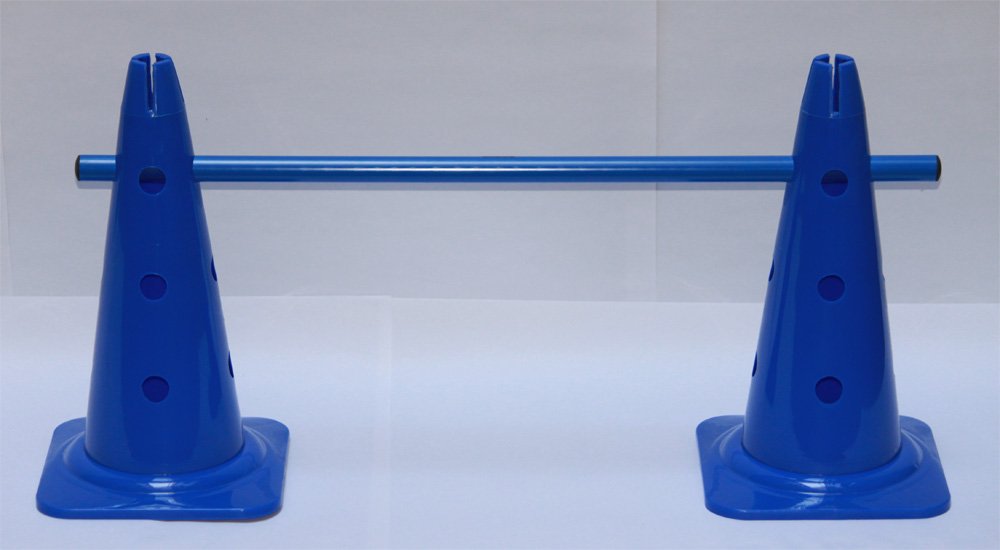 Lot de 4 Kits de haie (12 pièces en Tout): 8 cônes (à 12 Trous) 40 cm, 4 Jalons en Plastique 80 cm, Couleur: 1x Bleu, 1x Rouge, 1x Vert, 1x Jaune - 8X MZK40ybrg 4X 80ybrg