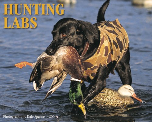Hunting Labs 2009 Calendar