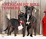 American Pit Bull Terriers | 2026 14 x 24 Inch (Hanging) Monthly Deluxe Wall Calendar | Plastic-Free | BrownTrout | Animals Dog Breeds