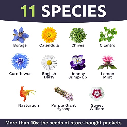 Wildflower Seeds Edible Flowers Mix - 1 Ounce Over 7,000 Open Pollinated Annual And Perennial Seeds #TOP3