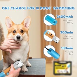 CGOLDENWALL Tosatrice Professionale per Cani Gatti 400W Batteria Ricaricabile con Testa di Taglio Rimovibile da 3mm+6mm & Limite Pettine 5 Ore di Durata Basso Rumore Meno di 50db per Pecore Conigli