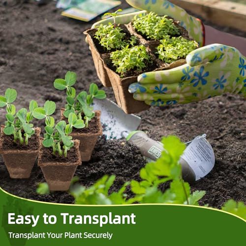 Hanmsen Bandeja inicial de sementes, 20 potes de turfa biodegradáveis para mudas, 240 células para i