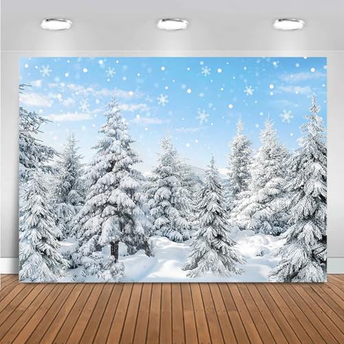 Mocsicka Winter Forest Backdrop