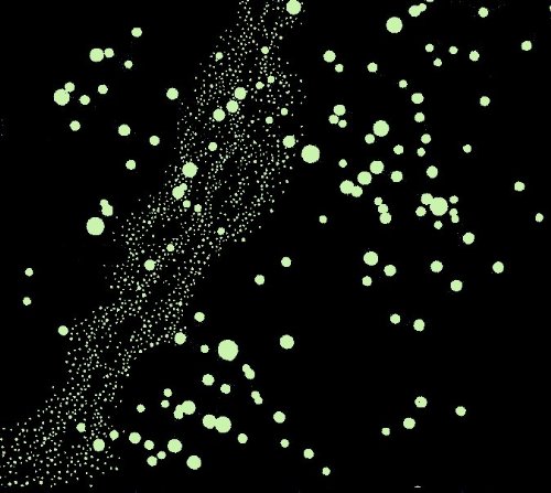 The Constellations Glow-In-The-Dark Star Map (Northern Hemisphere) #TOP2