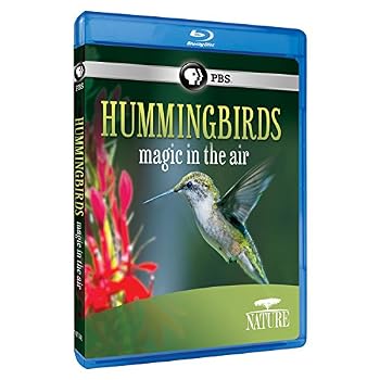 Nature: Hummingbirds - Magic in the Air