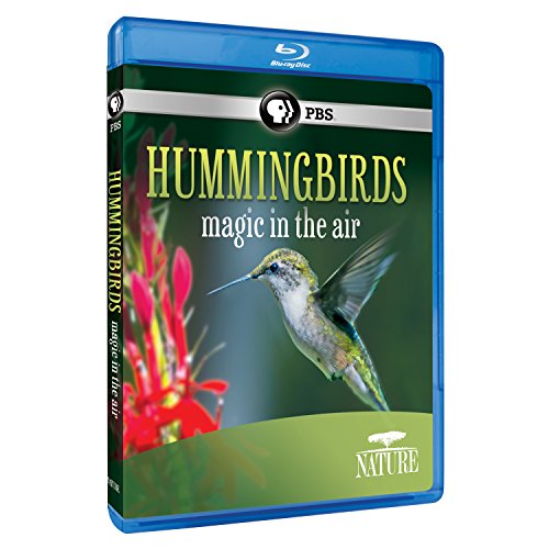 Nature: Hummingbirds [Blu-ray]