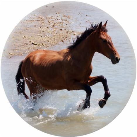 Horse on Beach Day Ceramic Cabinet Drawer Knob (Set of 10 Knobs)
