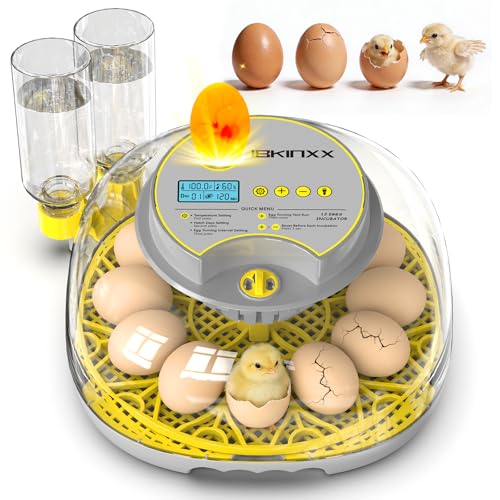 IBKINXX Incubator for Hatching Eggs-12 Egg Capacity, 2026 Newly Upgraded Automatic Egg Turner, Temperature & Humidity Control, 360° Viewing for Chicken, Duck and Quail Eggs (Grey)