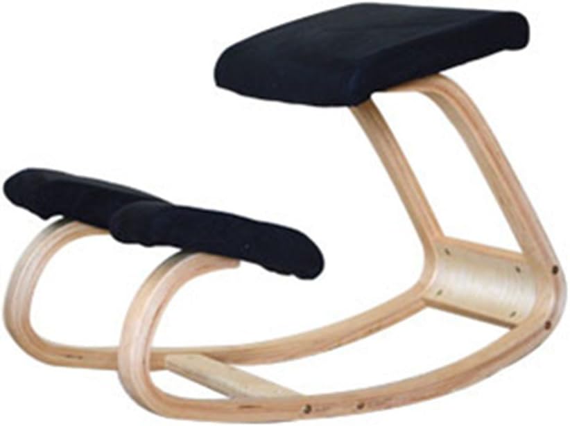 JESEN A Chair for The Correction of The Spine (Black, Cloth)