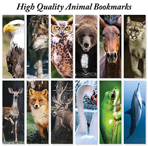 Jbh Creations Animals Of America Bookmarks - Pack Of 48 #TOP1