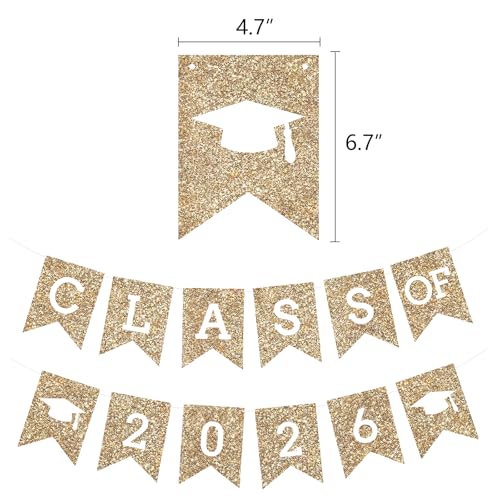 Image of Gold Graduation Party Decoration Class Banner Hanging Pom Poms Flowers High School College Grad Supplies