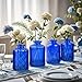 ELEGANTTIME Cobalt Blue Glass Bud Vase Small Flower Vase Mini Bottle with Cork Wire Handle Design for Deco Cafes, Office Table, Home and Garden(Set 5)