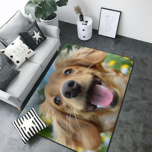 Dewoofly Custom Photo Logo Text Area Rug 5x7 ft