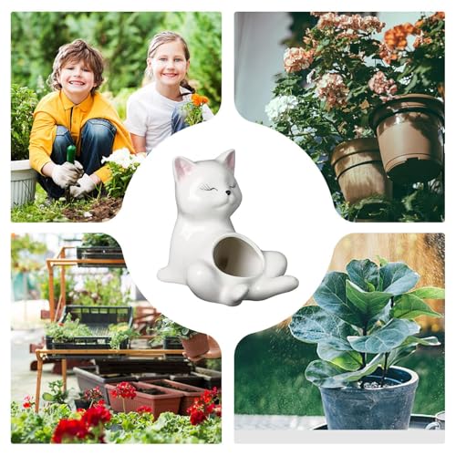 Pot de fleur chat céramique contenant petite succulente extérieure balcon