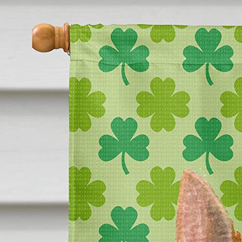 Drapeau Norwich Terrier Saint-Patrick pour maison en toile Caroline's Treasures SS4430CHF