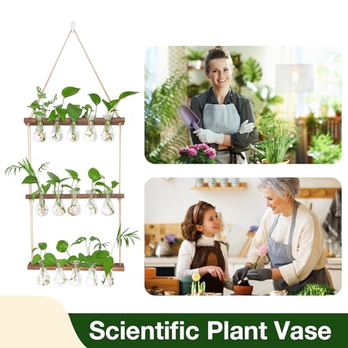 XXXFLOWER Wall Hanging Propagation Station with Wooden Stand 5 Bulb Vase 3 Tiered Planters Wall Terrarium for Home Office Plant Hanger Flower Vases Wall Decor(Brown) - Thumbnail 6