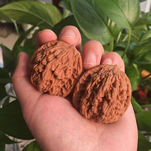 Preisvergleich Produktbild Chinesische Wenwan Massagebälle, natürliches Walnuss-Massage-Bälle, Fitness-Dekompressionsübung, Massagehandball, Gesundheitshandball, 2 Stück