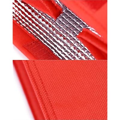 QWORK Medical Specimen Transport Bag, 4 Pack, Bio Transport, 6.75 x 10 x 5.75, Red
