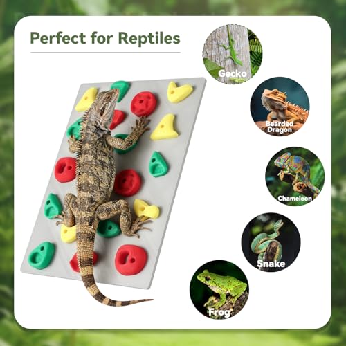MITCHENIFY Climbing Wall for Reptiles, Reptile Tank Terrarium Accessories Habitat Decor for Bearded Dragons, Leopard Geckos, Lizards, Snakes, Tree Frogs, Amphibian Paludariums Enclosure Supplies - Thumbnail 6