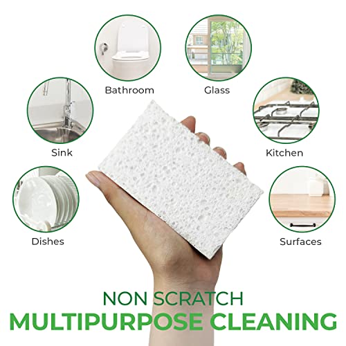 Airnex Biodegradable Cellulose Compressed Sponges - Pack Of 16 Kitchen Sponges For Cleaning - Heavy Duty And Natural Multipurpose Household Cleaning Sponges Good For Kitchen, Bathroom, And Surfaces #TOP4