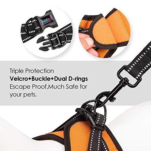 Phoepet Step-In Dog Harness And Leash Set, Reflective Adjustable Dog Vest Harness, Soft Pet Walking Jacket With 2 Metal Leash Hooks For Dog And Cat (Orange, M) #TOP3