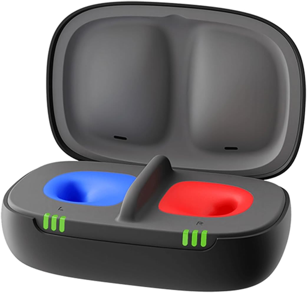 Signia Insio & Connexx Custom Charging Station