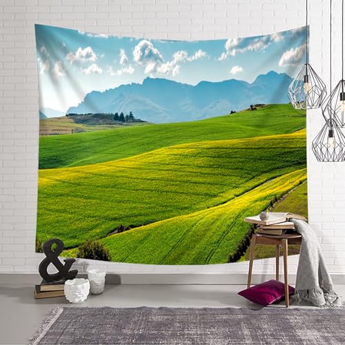 Tenture murale paysage pour masquer un mur vide et decorer le salon - 4