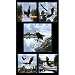 Majestic Bald Eagle 24 In. Panel Black Fabric