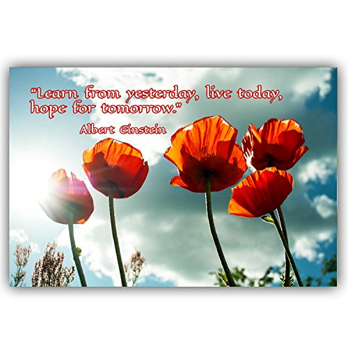 Quotes Postcard Set Of 20. Post Card Variety Pack With Famous Quote Postcards. Made In Usa. #TOP5