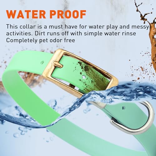 Image of Viper Biothane Heavy Duty Waterproof Dog Collar Strong Coated Nylon Webbing w /Solid Brass Hardware Odor-Proof for Easy Care to Clean High Performance Fits Small Medium or Large Dogs, Sea Foam Green