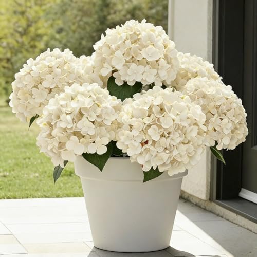 UV Resistant Hydrangeas 6 Bundles with 30 Heads Artificial Faux Silk Flowers for Garden Porch Yard Window Box Wedding Decoration Bush for Outdoor Front Door Garden Decor Potted Topiary(Beige)