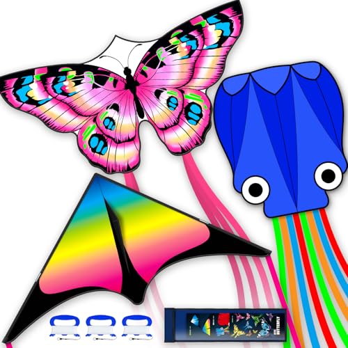 View 2