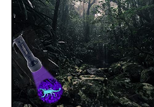 Image of Black Light UV Flashlight 51 LED Pet Urine Stains Odor Detector, Batteries Included