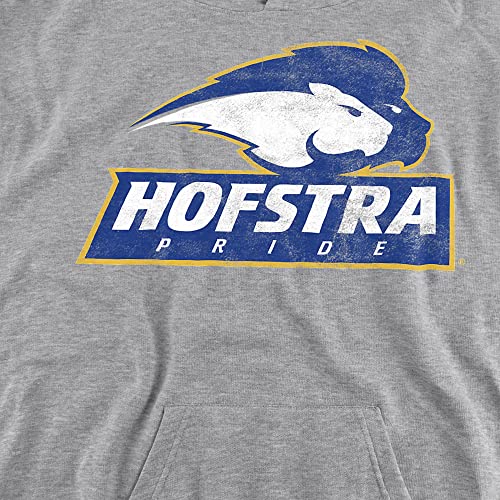 Hofstra University Official Pride Logo Youth Kids Boy/Girls Pull-Over Hoodie Sweatshirt2