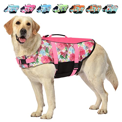 Best Dog Life Jackets Canada Best Cost