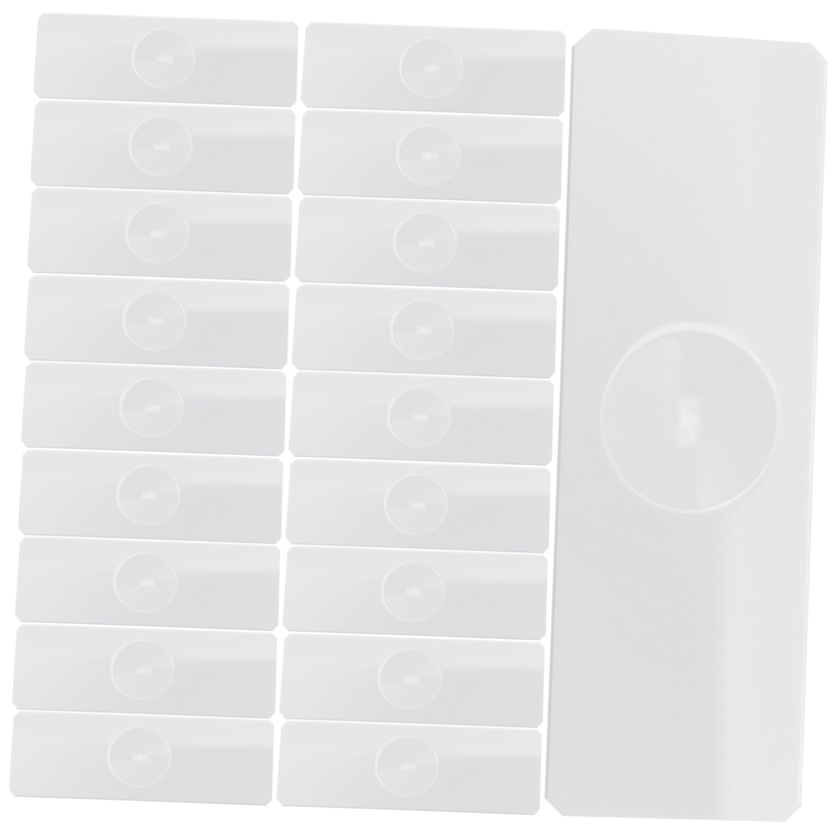 Lames de Microscope à Cuvette Simple pour Spécimens Aquatiques, Lot de 50
