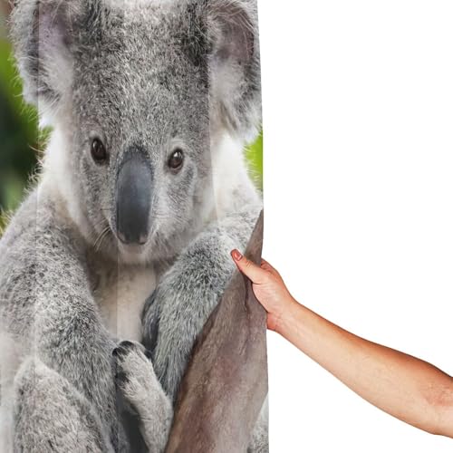 Rideau de douche koala en polyester premium avec 12 œillets inoxydables durables - 5