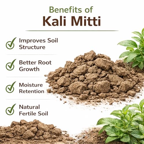 Image of Black Soil for Garden (Kali Mitti) | Natural Chikni Mitti Clay for Plants | Gardening Soil for Home Garden | 3600g